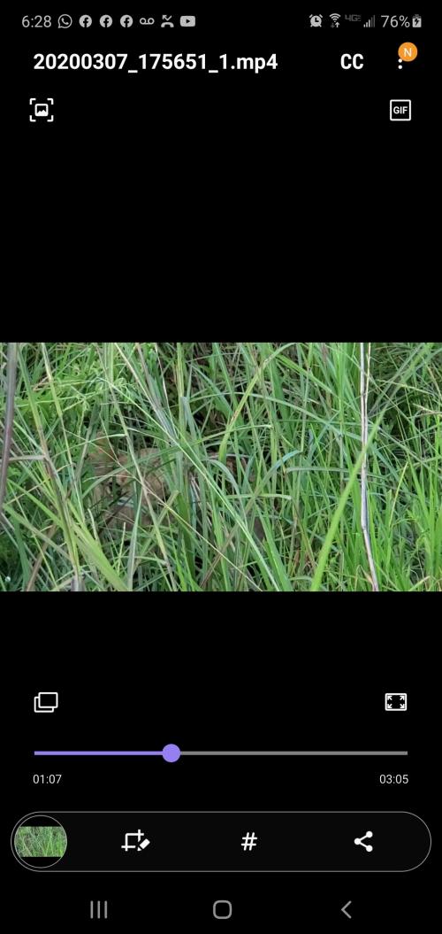 21:29:32 GMT-0500 (EST)