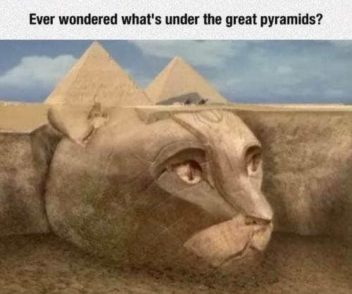 07:22:52 GMT-0500 (EST)