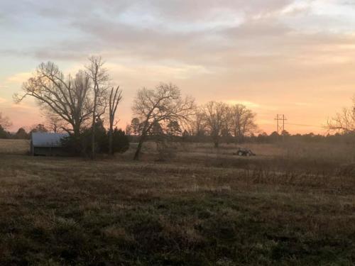 00:40:22 GMT-0600 (CST).image