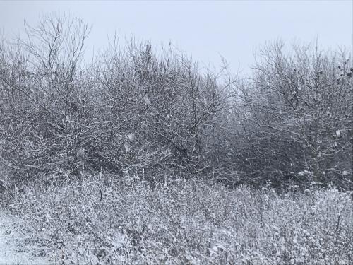 01189CBD-9BAB-446F-B602-63E4DB4C559F