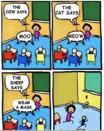 139644785_151041216784858_4706283820698232422_n