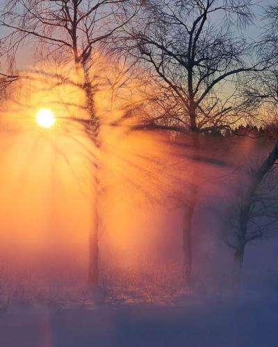 tumblr_697b84ae862a8165d180f1024327cbd9_08d74c6c_540