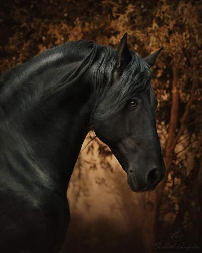 05:41:19 GMT-0600 (CST)