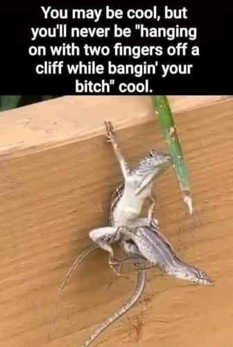 20:42:13 GMT-0600 (CST)