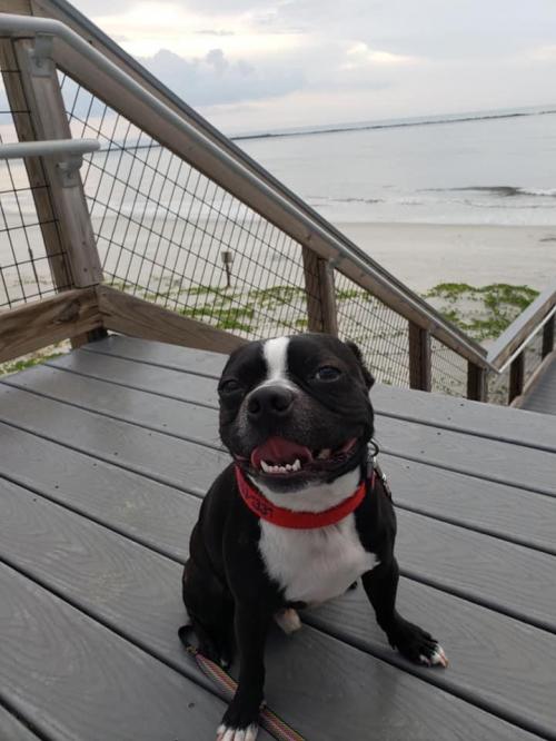 04:53:10 GMT+0100 (WAT).image