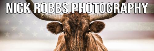 Parler Cover Image copy