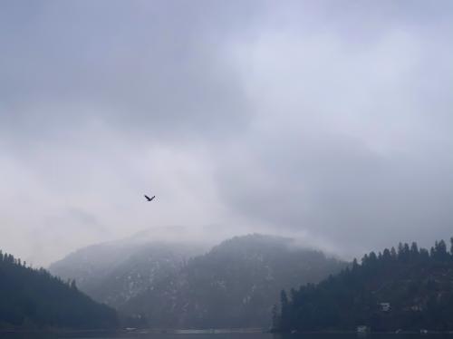 13:16:47 GMT-0800 (PST).image