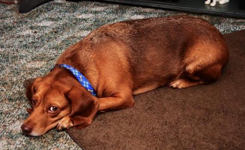 19:25:06 GMT-0600 (CST).image