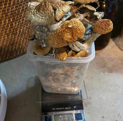 02:23:41 GMT+0100 (WAT)