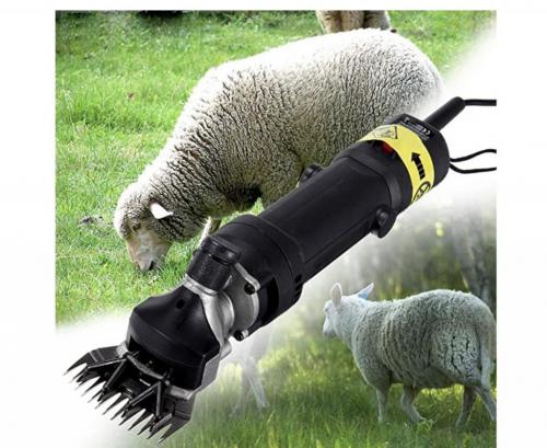 08:29:58 GMT-0700 (MST).image