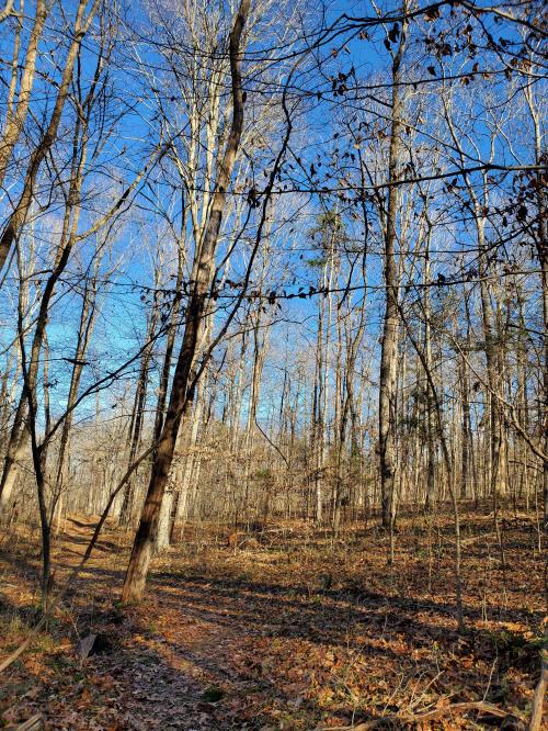 21:42:08 GMT-0500 (EST)