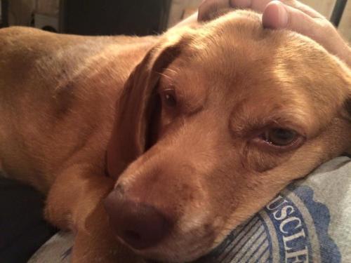 19:23:14 GMT-0600 (CST).image