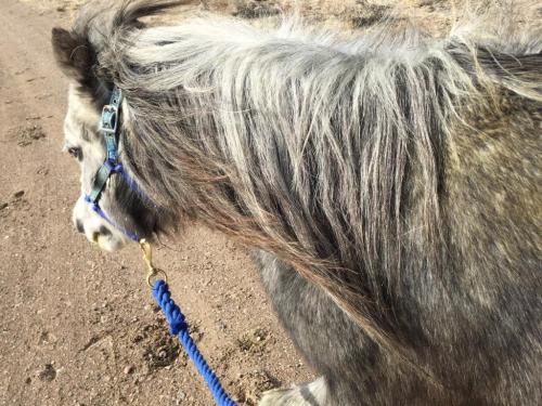 16:17:57 GMT-0800 (PST).image