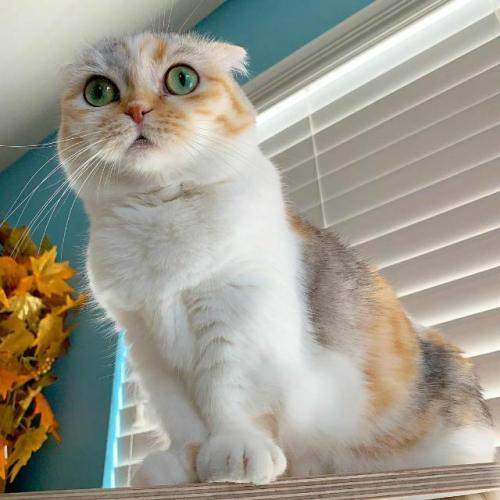 19:51:19 GMT+0100 (WAT)