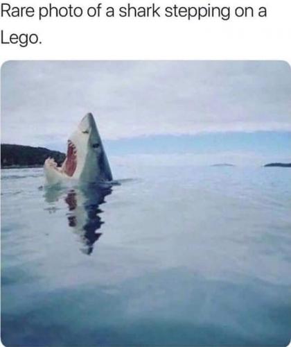 14:18:56 GMT-0500 (EST)