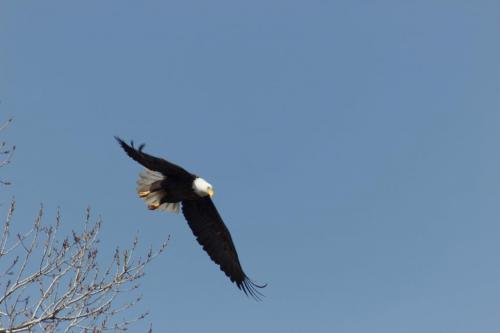 21:36:18 GMT-0600 (CST)