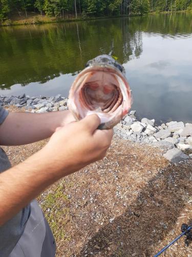 13:27:27 GMT-0500 (EST)