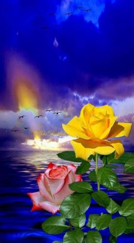 11:01:50 GMT-0600 (CST)