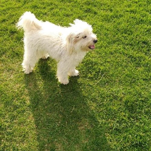 01:56:44 GMT+0100 (WAT)