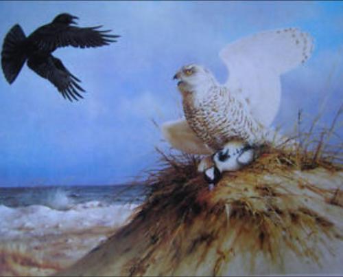 21:52:34 GMT-0600 (CST)