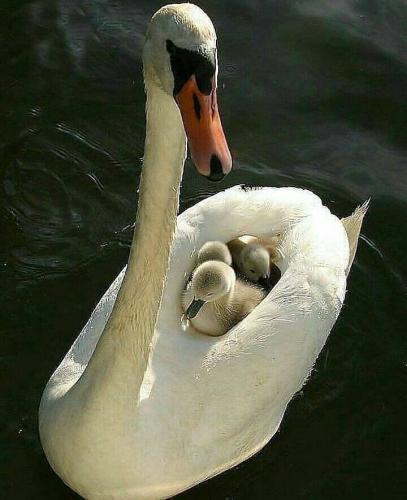 139538933_1777860425713495_5462008792152325838_n