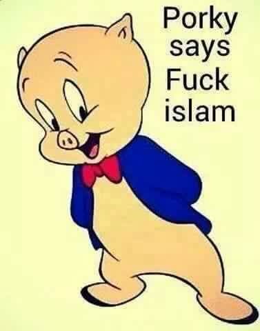 11:35:19 GMT-0600 (CST).image