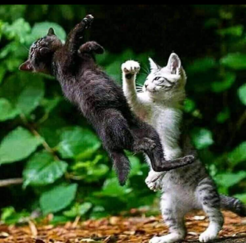 11:20:44 GMT-0500 (EST)