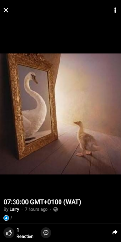 07:29:14 GMT-0600 (CST)