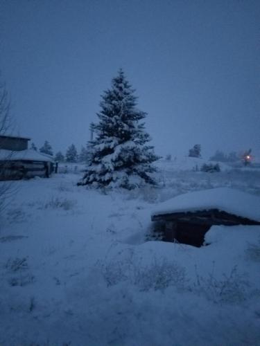 01:49:23 GMT-0800 (PST)