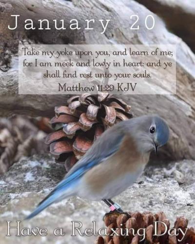 22:04:59 GMT-0600 (CST)