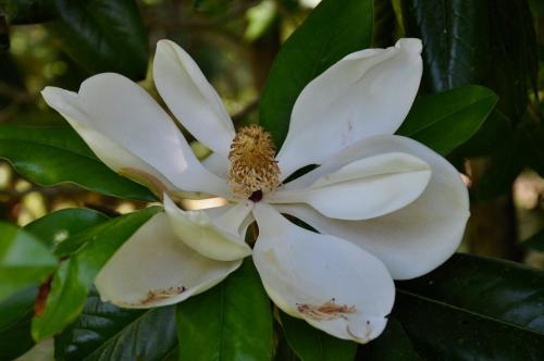 23:14:13 GMT-0600 (CST).image