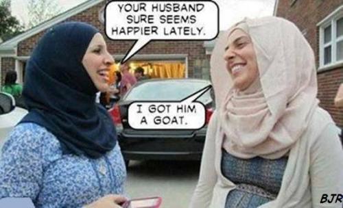 12410579_1206369332711181_8623180658260563989_n