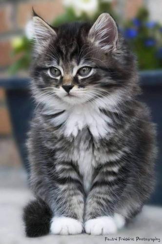 16:03:46 GMT-0600 (CST)