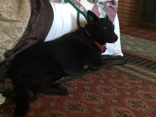 10:10:28 GMT-0600 (CST).image