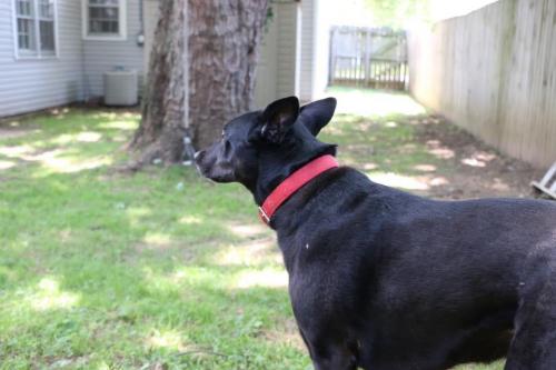 09:50:55 GMT-0600 (CST).image