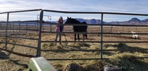 07:56:49 GMT-0800 (PST).image