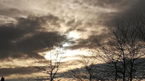 20:13:50 GMT+0100 (CET)