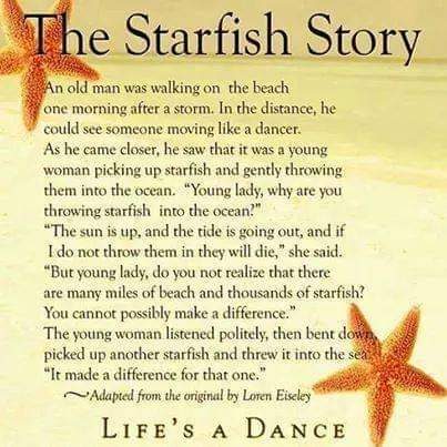 The_Starfish_Story