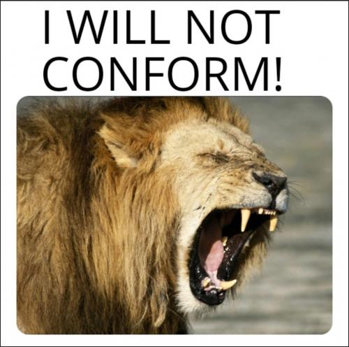 14:06:54 GMT-0600 (CST)