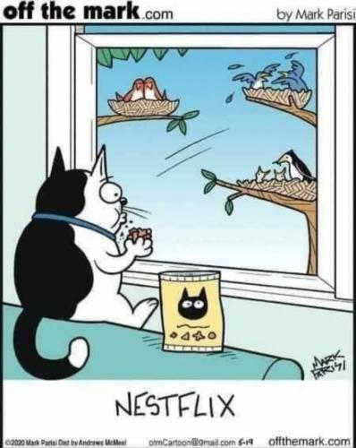 20:02:23 GMT-0600 (CST)