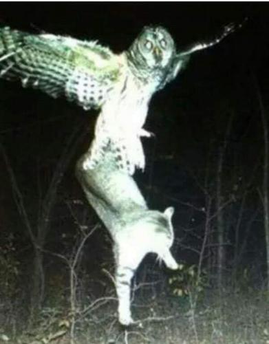 13:21:47 GMT-0600 (CST)