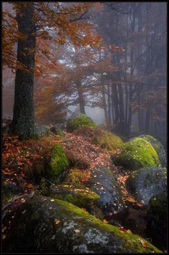 136497430_1486213834911295_4775431285407855258_n