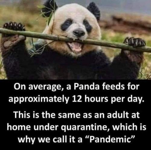 15:25:46 GMT-0500 (EST)