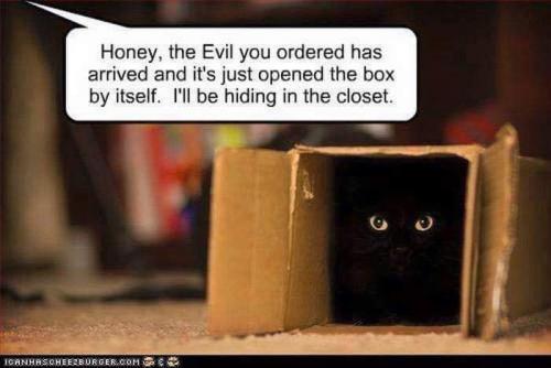 12:56:33 GMT-0800 (PST)