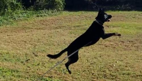 06:28:59 GMT-0600 (CST)