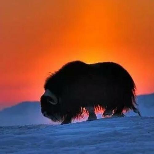 15:10:15 GMT-0900 (AKST).image