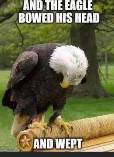 20:03:47 GMT-0500 (EST)