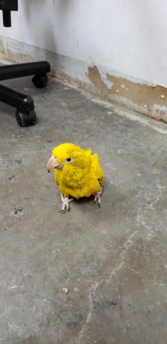 22:15:18 GMT-0600 (CST)