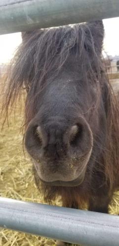 08:22:54 GMT-0800 (PST).image