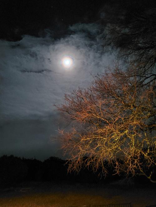 21:01:23 GMT-0600 (CST).image